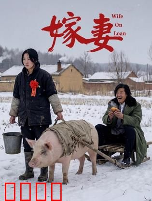 嫁妻：悲情买卖婚姻