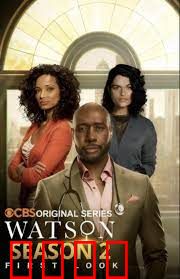 华生第二季：暗夜迷踪