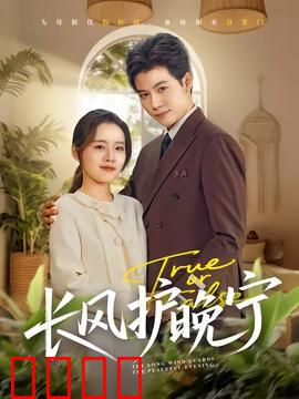 长风护晚宁：暗夜守护者