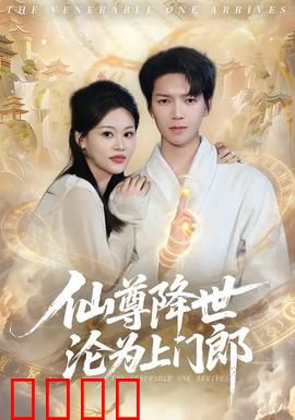 仙尊降世沦为上门郎：三界第一赘婿