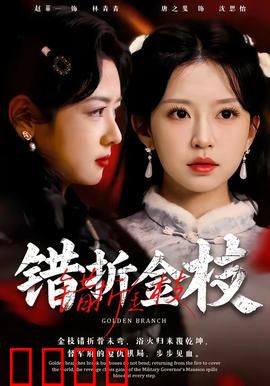 错折金枝：公主逆袭之路