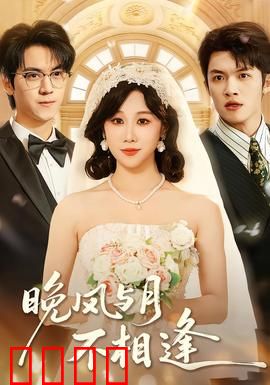 晚风与月不相逢：月光下的遗憾