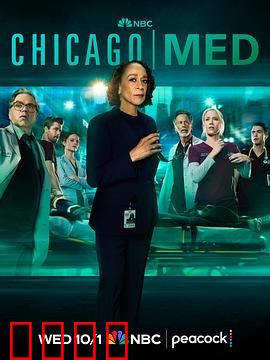 芝加哥急救第十一季：生死一线