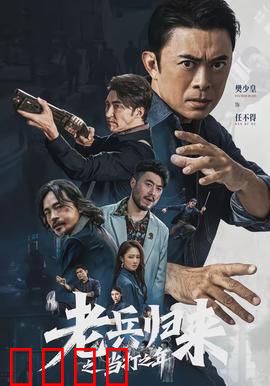 老兵归来之当打之年：铁血守护
