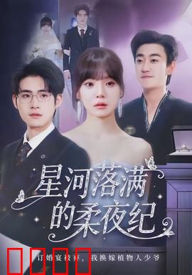 星河落满的柔夜纪：跨越光年的永恒之约