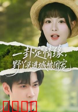 一卦定情缘，野丫头进城被团宠：天命娇宠