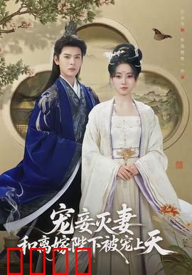 宠妾灭妻，和离嫁陛下被宠上天：逆袭王妃