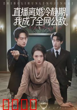 直播离婚冷静期，我成了全网公敌：一场婚姻战争