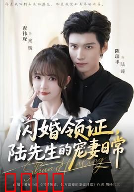 闪婚领证，陆先生的宠妻日常：先婚后爱甜到爆