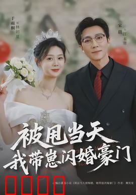被甩当天我带崽闪婚豪门：霸总追妻路