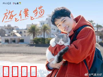 旅行和我和猫：一场治愈心灵的旅程