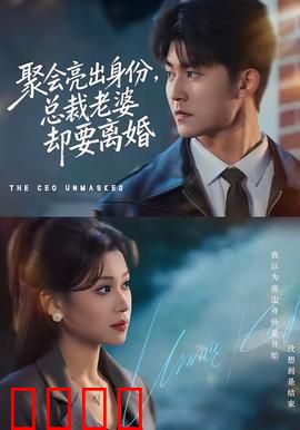 聚会亮出身份，总裁老婆却要离婚：隐婚总裁的逆袭
