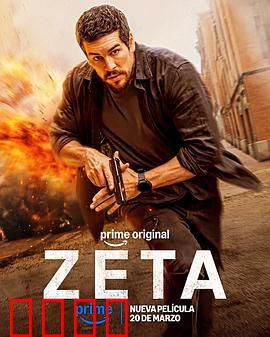 谍杀风暴：暗影潜伏