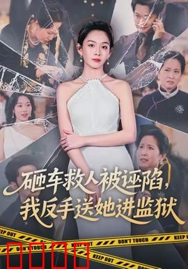 砸车救人被诬陷，我反手送她进监狱：绝地反击