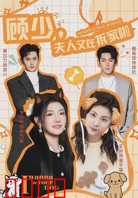 顾少，夫人又在拆家啦：豪门甜宠反套路