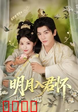 明月入君怀：深情不负相思意