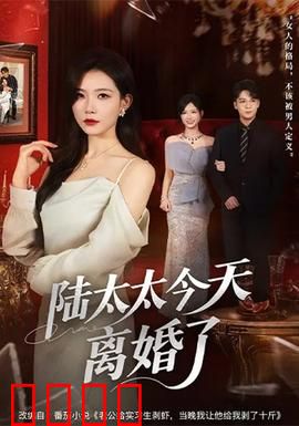 陆太太今天离婚了：霸道总裁追妻路