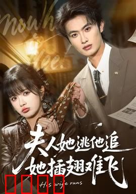 夫人她逃他追，她插翅难飞：霸道总裁追妻记