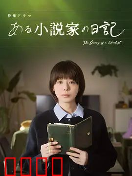 某小说家的日记：惊悚迷局