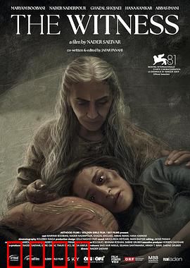 证人2024：谎言与真相