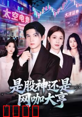是股神还是网咖大亨：暗战资本游戏