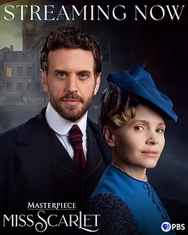 斯嘉丽小姐探案集第六季：迷雾重重