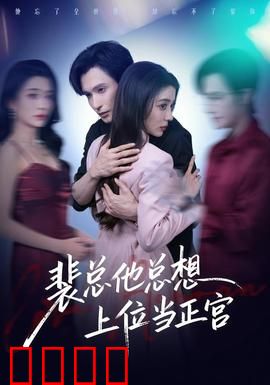 裴总他总上位当正宫：职场逆袭