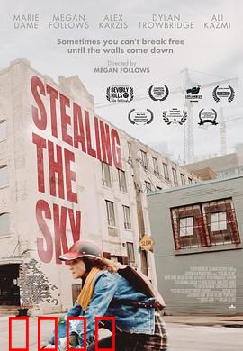 窃取天空：自由的代价