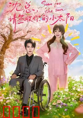 沈总，请签收你的小太阳：霸道总裁甜宠来袭