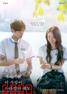 今夜，就算这份爱恋从世界上消失：记忆消失爱永恒