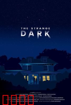 奇异黑暗：光明背后的真相