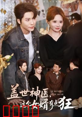 盖世神医，这个女婿有点狂：豪门逆袭传奇