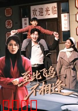 到此飞鸟不相逢：错过的余生