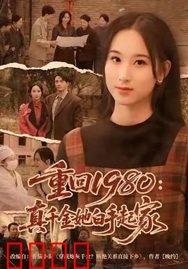 重回1980：逆袭人生