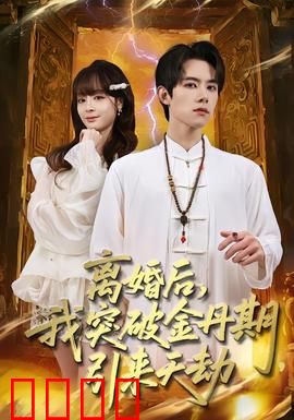 离婚后，我突破金丹期，引来天劫：为爱复仇