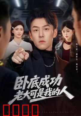 卧底成功老大可是我的人：双面卧底