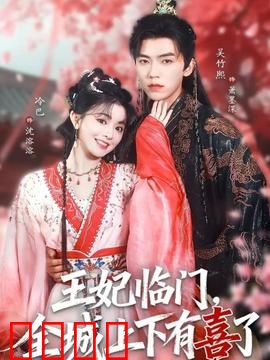 王妃临门全城上下有喜了：甜蜜宠妻记