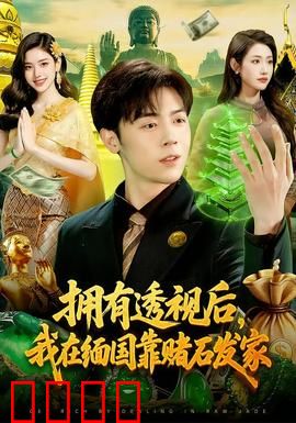 拥有透视后，我在缅国靠赌石发家：赌石界传奇