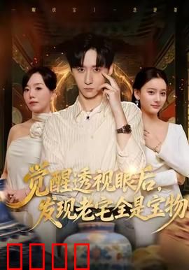 觉醒透视眼后，发觉老宅全是宝物：鉴宝奇遇