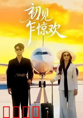 初见乍惊欢：邂逅即永恒