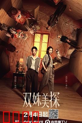 双姝美探：姐妹破案传奇