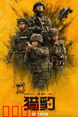 猎豹：拳王逆袭