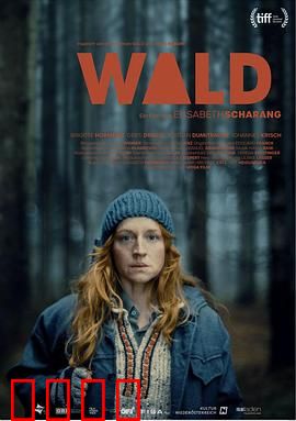 走出丛林：绝境逆袭路