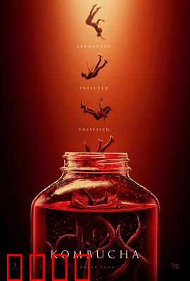 康普茶：发酵之谜