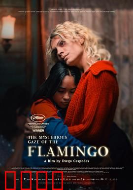 弗拉明戈的神秘眼神：舞动中的致命秘密