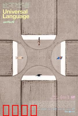 共同的语言：跨越时空的共鸣