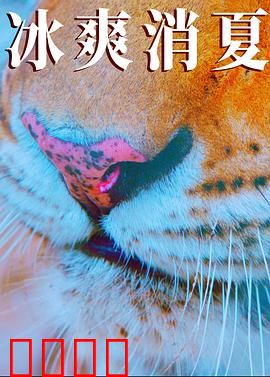 寒冰白血：冰封的真相