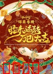 2025河南春晚：中原文化新篇章