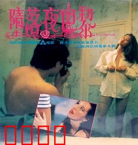 堕落夜巴黎粤语：暗夜迷情