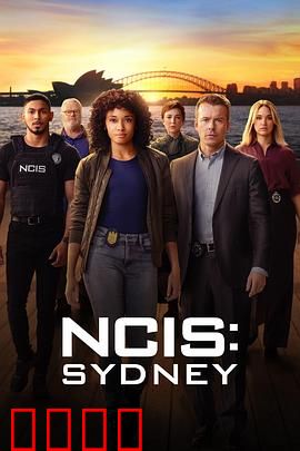 海军罪案调查处：跨国阴谋